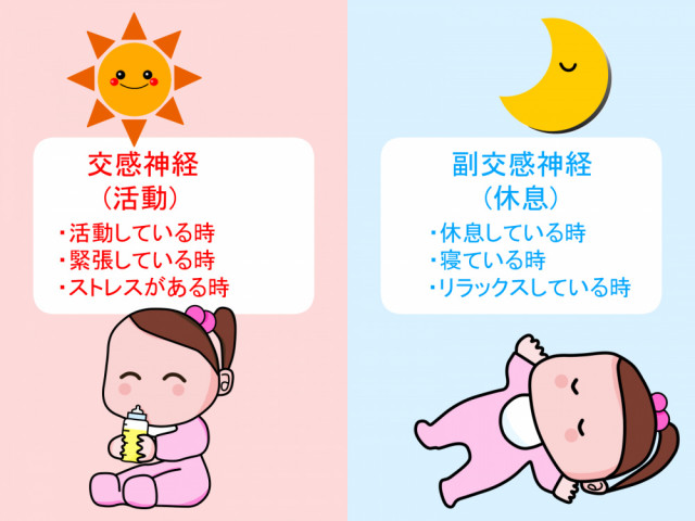 自律神経